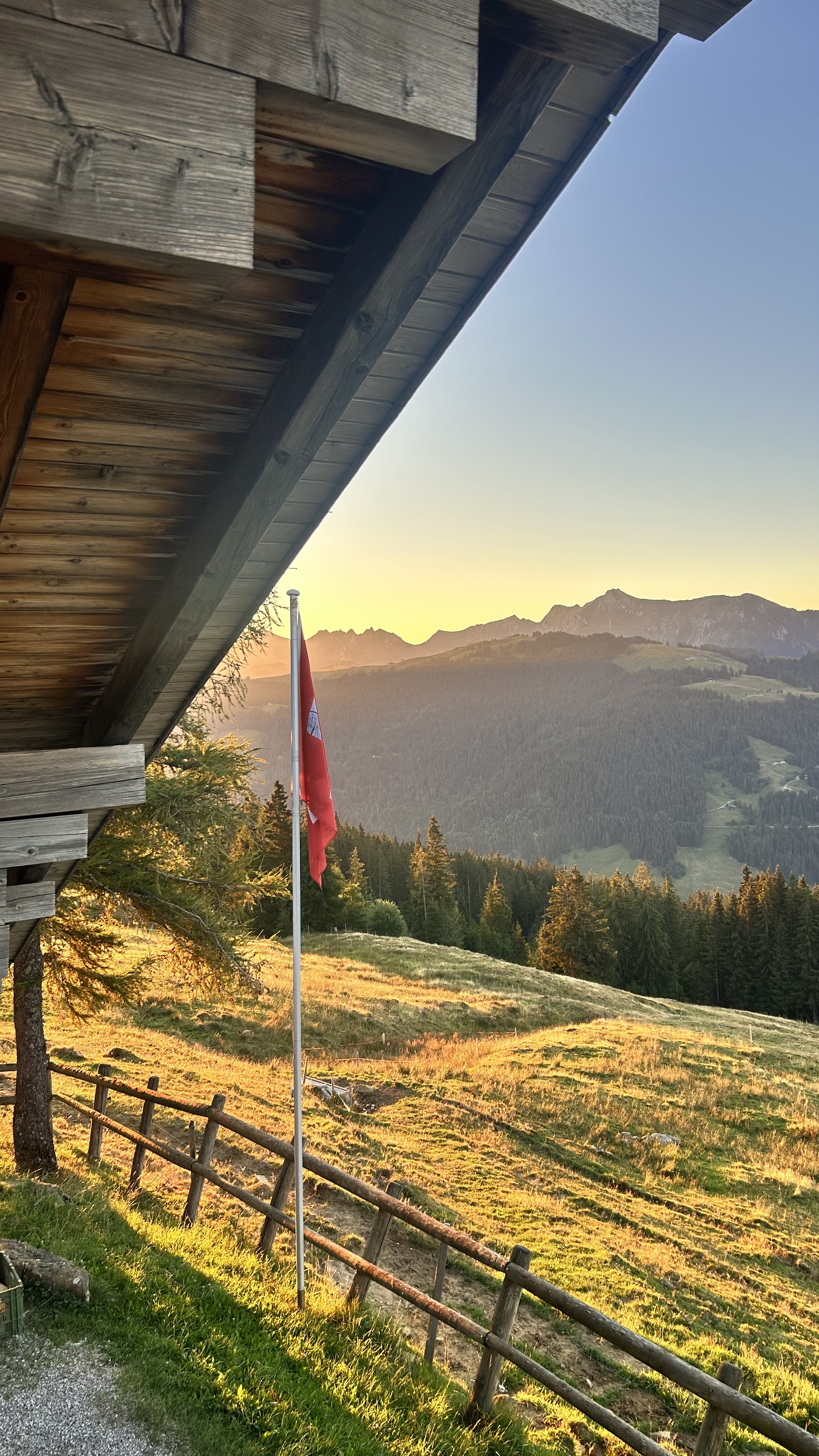 Dach der Alp Burlaya mit Freiburger Fahne und Blick in die Berge
