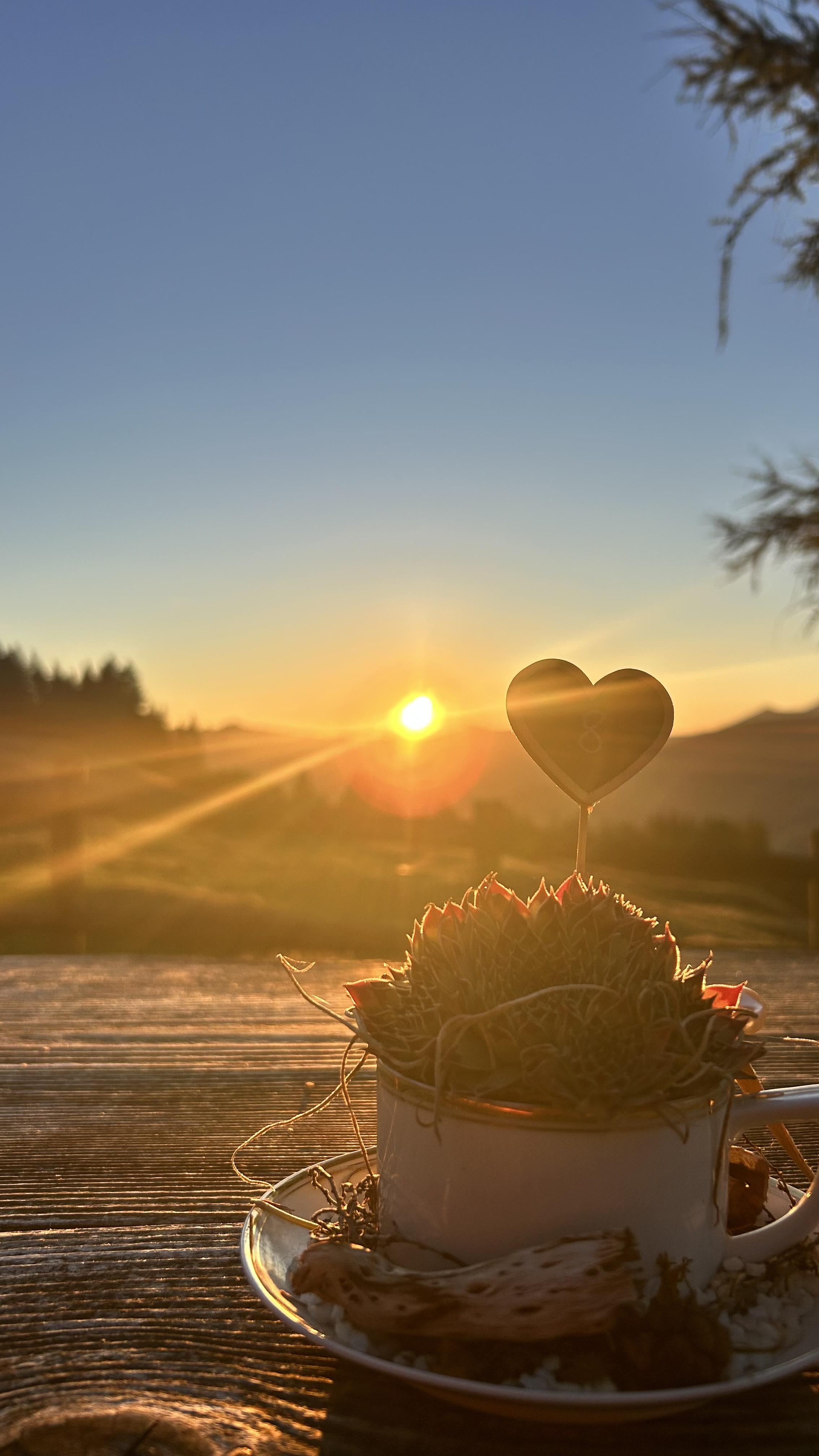 Sonnenuntergang auf der Terrasse der Alp Burlaya